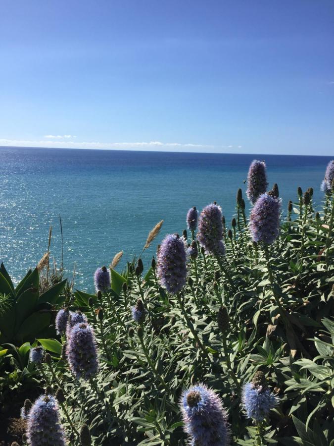 Calheta Ocean View Family Apartment - Air Condition Estreito Da Calheta Ngoại thất bức ảnh